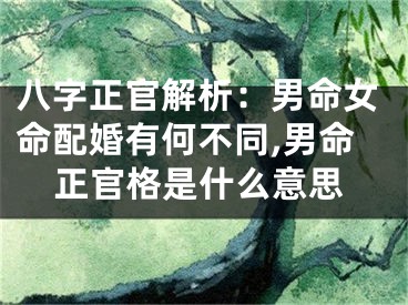 八字正官解析：男命女命配婚有何不同,男命正官格是什么意思