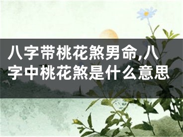 八字带桃花煞男命,八字中桃花煞是什么意思