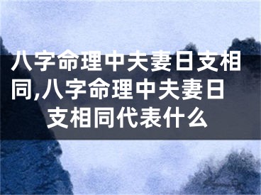 八字命理中夫妻日支相同,八字命理中夫妻日支相同代表什么