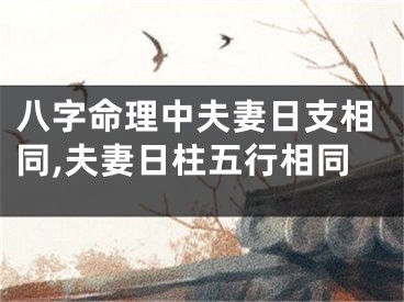八字命理中夫妻日支相同,夫妻日柱五行相同