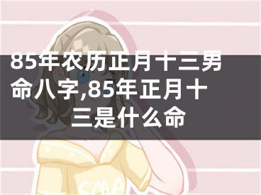 85年农历正月十三男命八字,85年正月十三是什么命