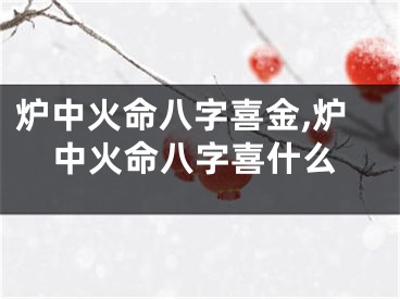炉中火命八字喜金,炉中火命八字喜什么