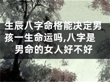 生辰八字命格能决定男孩一生命运吗,八字是男命的女人好不好