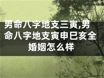 男命八字地支三寅,男命八字地支寅申巳亥全婚姻怎么样