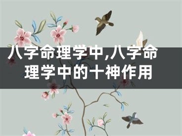 八字命理学中,八字命理学中的十神作用