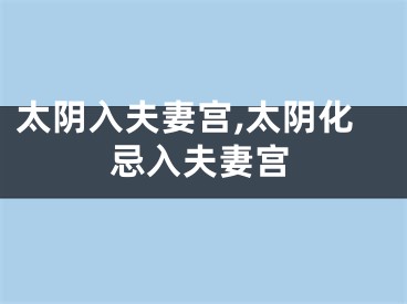 太阴入夫妻宫,太阴化忌入夫妻宫