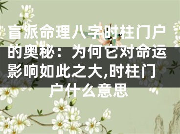 盲派命理八字时柱门户的奥秘：为何它对命运影响如此之大,时柱门户什么意思
