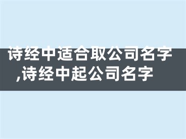 诗经中适合取公司名字,诗经中起公司名字