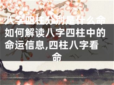 八字四柱分别是什么命如何解读八字四柱中的命运信息,四柱八字看命
