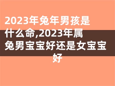 2023年兔年男孩是什么命,2023年属兔男宝宝好还是女宝宝好