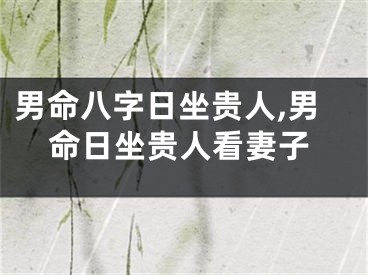男命八字日坐贵人,男命日坐贵人看妻子