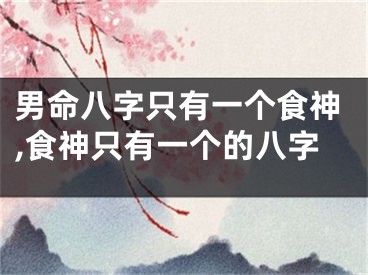 男命八字只有一个食神,食神只有一个的八字