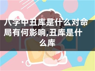 八字中丑库是什么对命局有何影响,丑库是什么库