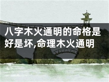 八字木火通明的命格是好是坏,命理木火通明