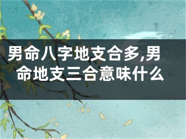 男命八字地支合多,男命地支三合意味什么