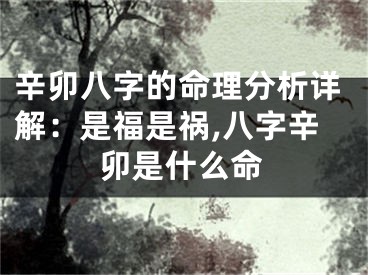 辛卯八字的命理分析详解：是福是祸,八字辛卯是什么命