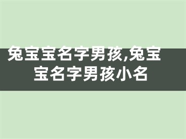 兔宝宝名字男孩,兔宝宝名字男孩小名