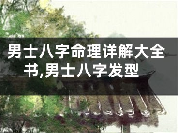 男士八字命理详解大全书,男士八字发型