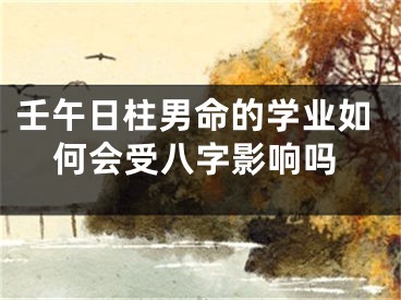 壬午日柱男命的学业如何会受八字影响吗