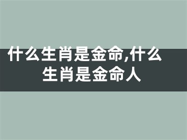 什么生肖是金命,什么生肖是金命人