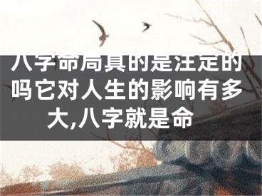 八字命局真的是注定的吗它对人生的影响有多大,八字就是命