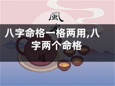 八字命格一格两用,八字两个命格