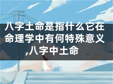 八字土命是指什么它在命理学中有何特殊意义,八字中土命