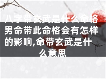八字带玄武是什么命格男命带此命格会有怎样的影响,命带玄武是什么意思