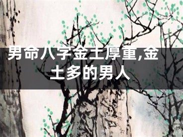 男命八字金土厚重,金土多的男人