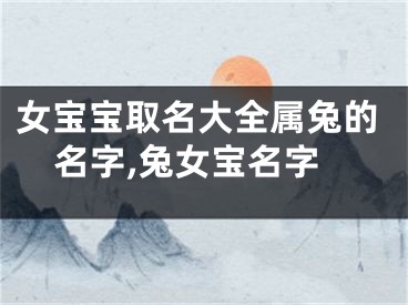 女宝宝取名大全属兔的名字,兔女宝名字