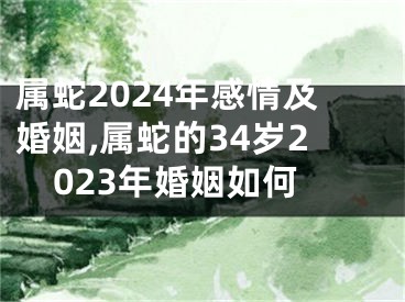 属蛇2024年感情及婚姻,属蛇的34岁2023年婚姻如何