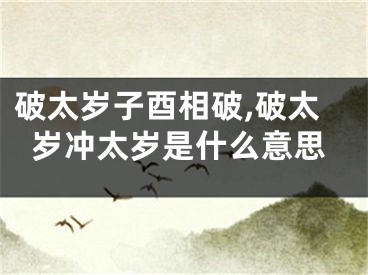 破太岁子酉相破,破太岁冲太岁是什么意思