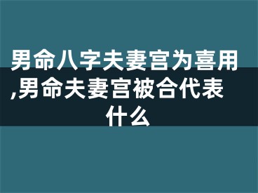 男命八字夫妻宫为喜用,男命夫妻宫被合代表什么