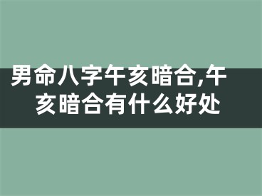 男命八字午亥暗合,午亥暗合有什么好处