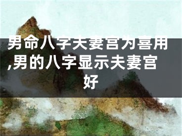 男命八字夫妻宫为喜用,男的八字显示夫妻宫好