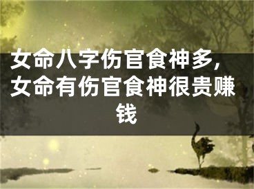 女命八字伤官食神多,女命有伤官食神很贵赚钱