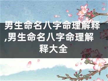 男生命名八字命理解释,男生命名八字命理解释大全