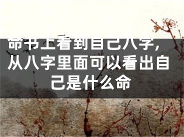 命书上看到自己八字,从八字里面可以看出自己是什么命