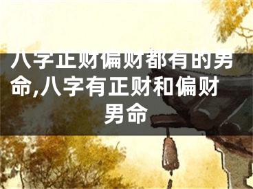 八字正财偏财都有的男命,八字有正财和偏财男命