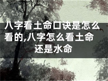 八字看土命口诀是怎么看的,八字怎么看土命还是水命