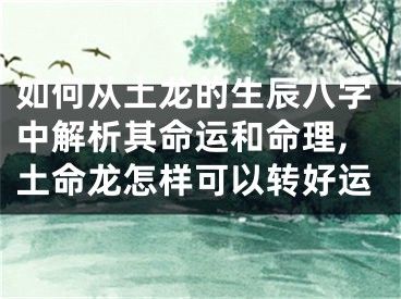 如何从土龙的生辰八字中解析其命运和命理,土命龙怎样可以转好运
