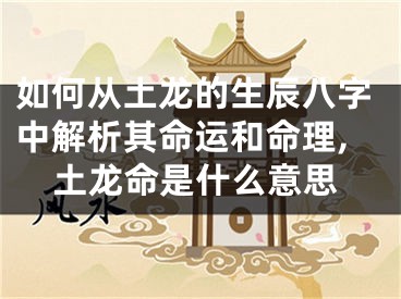 如何从土龙的生辰八字中解析其命运和命理,土龙命是什么意思