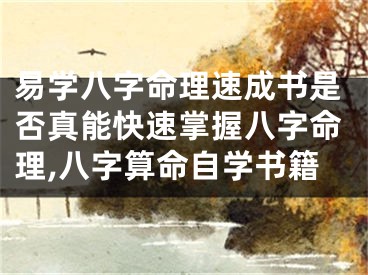 易学八字命理速成书是否真能快速掌握八字命理,八字算命自学书籍