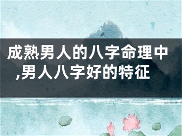 成熟男人的八字命理中,男人八字好的特征