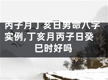 丙子月丁亥日男命八字实例,丁亥月丙子日癸巳时好吗