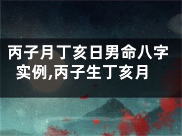 丙子月丁亥日男命八字实例,丙子生丁亥月