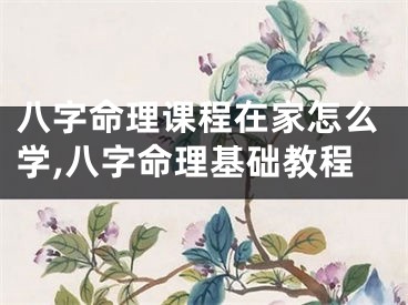 八字命理课程在家怎么学,八字命理基础教程
