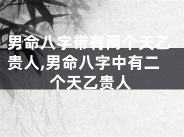 男命八字带有两个天乙贵人,男命八字中有二个天乙贵人