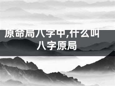 原命局八字中,什么叫八字原局