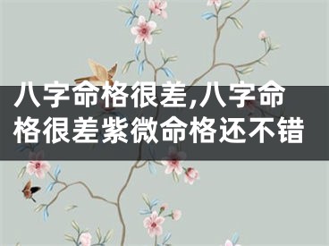 八字命格很差,八字命格很差紫微命格还不错